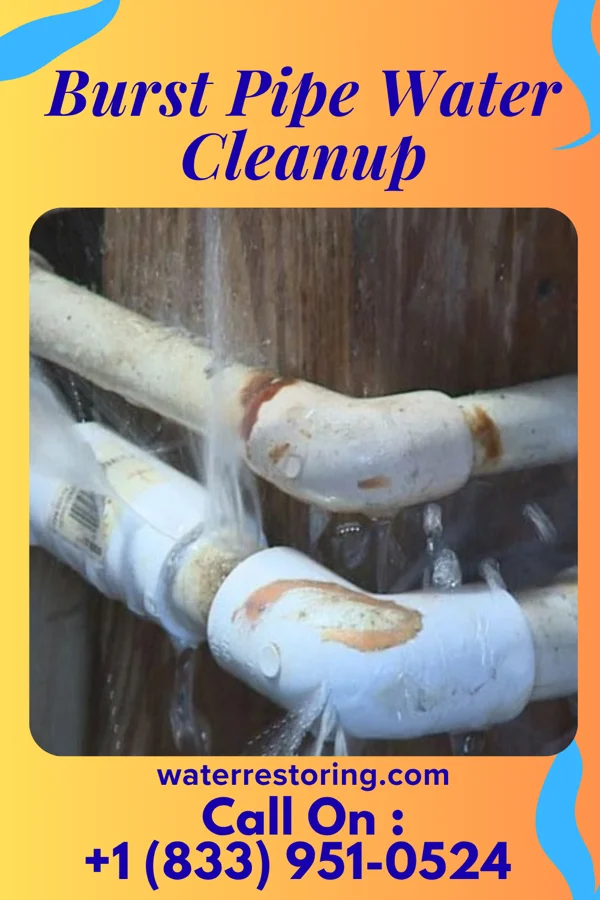 Burst Pipe Water Cleanup in Dobson, NC