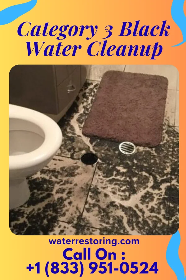 Category 3 Black Water Cleanup in Dobson, NC