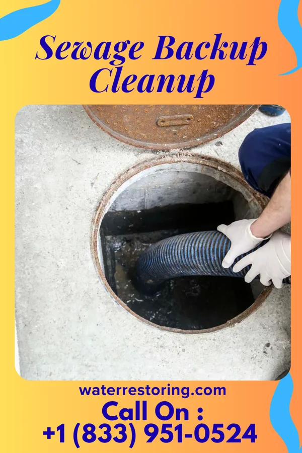 Sewage Backup Cleanup in Dobson, NC
