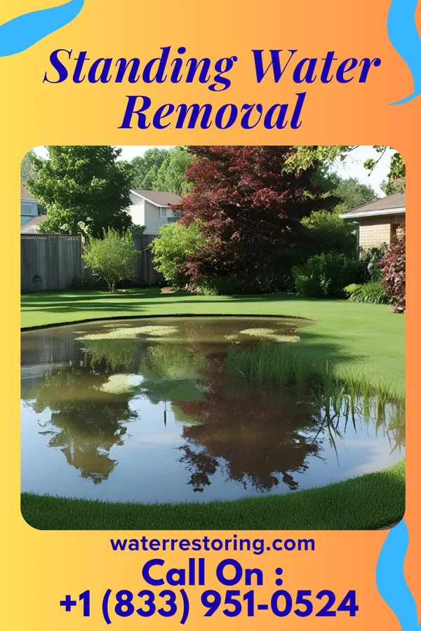 Standing Water Removal in Dobson, NC